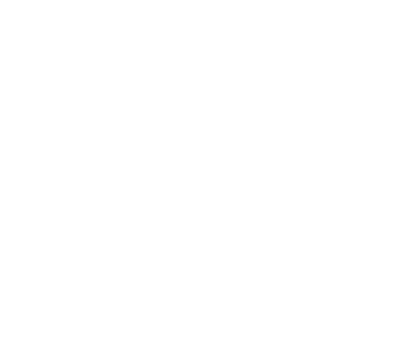 DNV ISO/IEC 27001